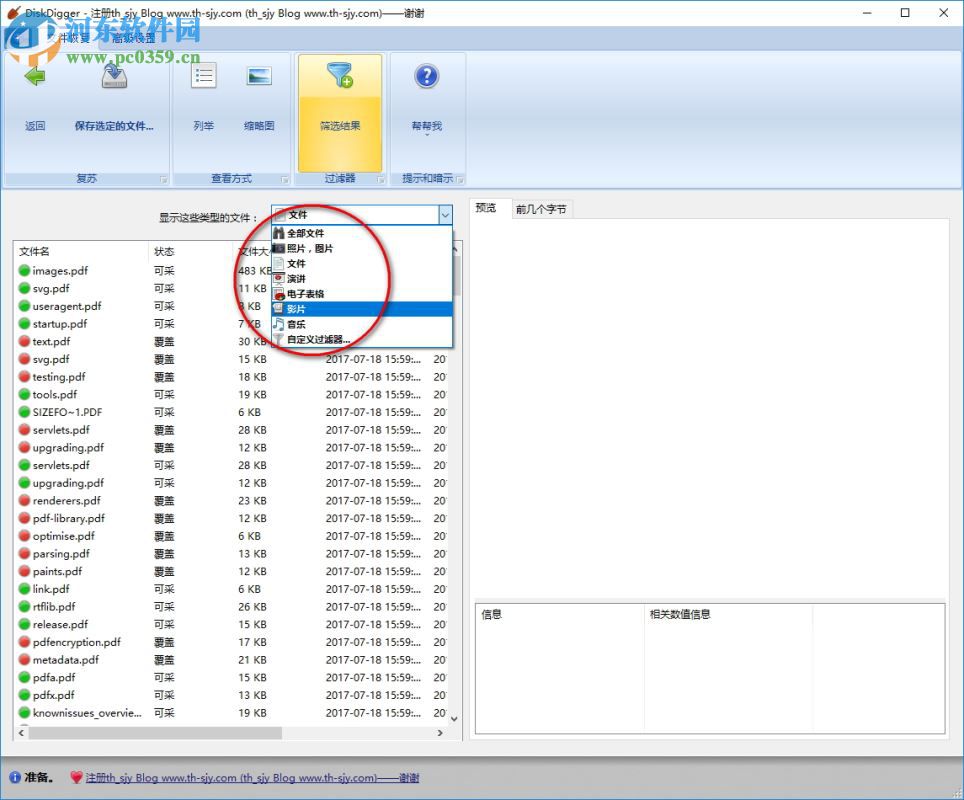 DiskDigger Pro下载