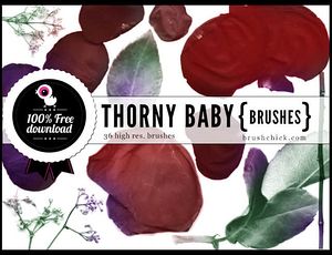 ps花瓣笔刷下载 2017 免费版