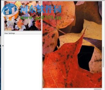 alien skin blow up for mac（图片无损放大软件） 3.1.0.146