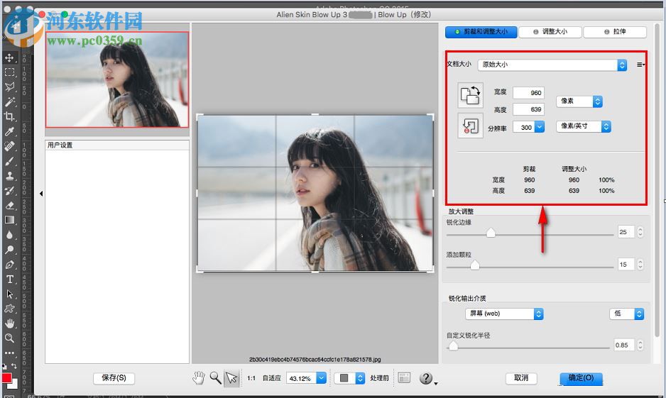 alien skin blow up for mac（图片无损放大软件） 3.1.0.146