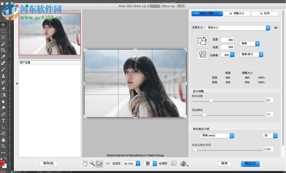 alien skin blow up for mac（图片无损放大软件） 3.1.0.146