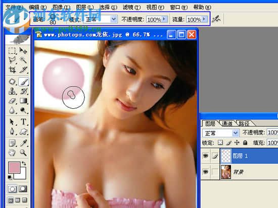 ps纹身笔刷 2017 免费版