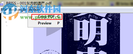 pdf切边工具(Briss) 1.0 中文免费版
