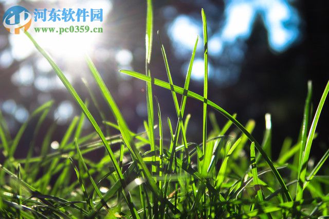 CameraWindow DC(相机图片下载工具) 8.10.4a 官方版