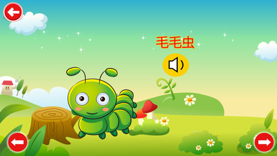 快乐宝宝认昆虫(1)