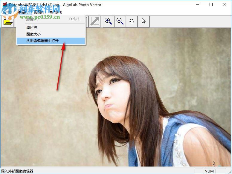 Algolab PtVector汉化版 1.98.7 绿色免费版