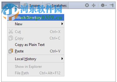 JetBrains DataGrip 2017.1.14 绿色版