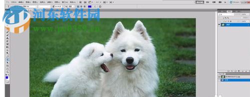 DFT EZ Mask(PS抠图滤镜) 3.0 汉化版