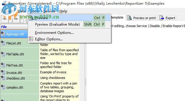 Reportizer(数据报表工具) 6.3.2.14 官方版
