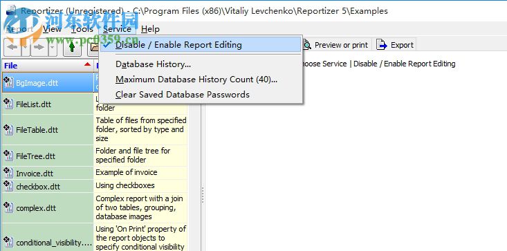 Reportizer(数据报表工具) 6.3.2.14 官方版