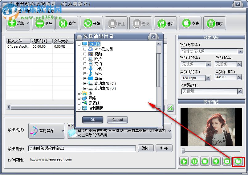 枫叶音频格式转换器