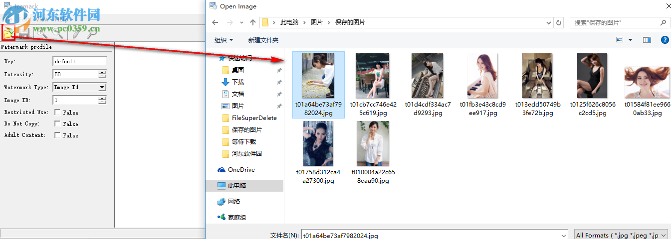 Icemark 数字水印软件 1.41 破解版