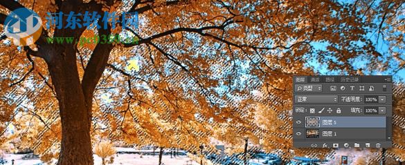 光束大师下载(丁达尔效应) 64 位汉化版