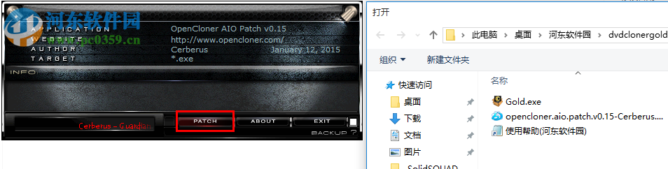 dvd cloner gold 2017下载(DVD和蓝光复制刻录软件) 14.20 多国语言版