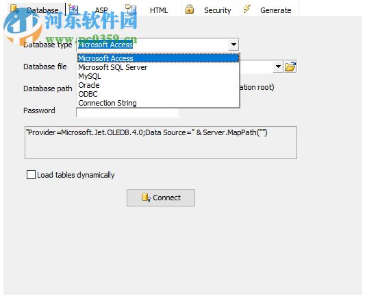 ASP Report Maker下载(报表生成工具) 10.0.2 免费版