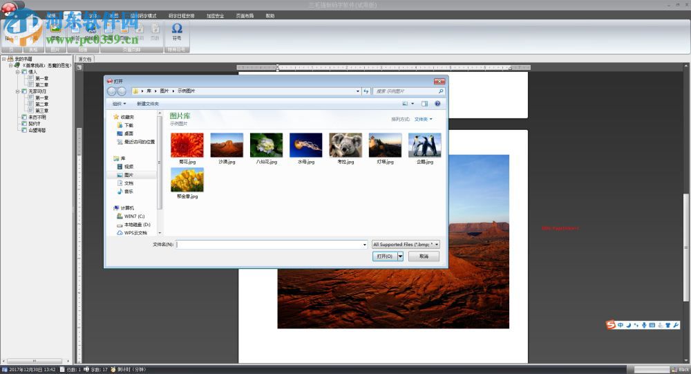 三毛强制码字软件 2.0 绿色版