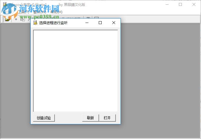 Winsock专家(抓包工具) 0.6 绿色版