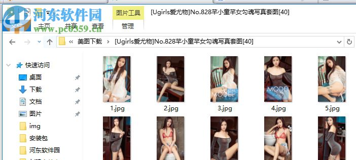 点心美图下载器 1.3 绿色版