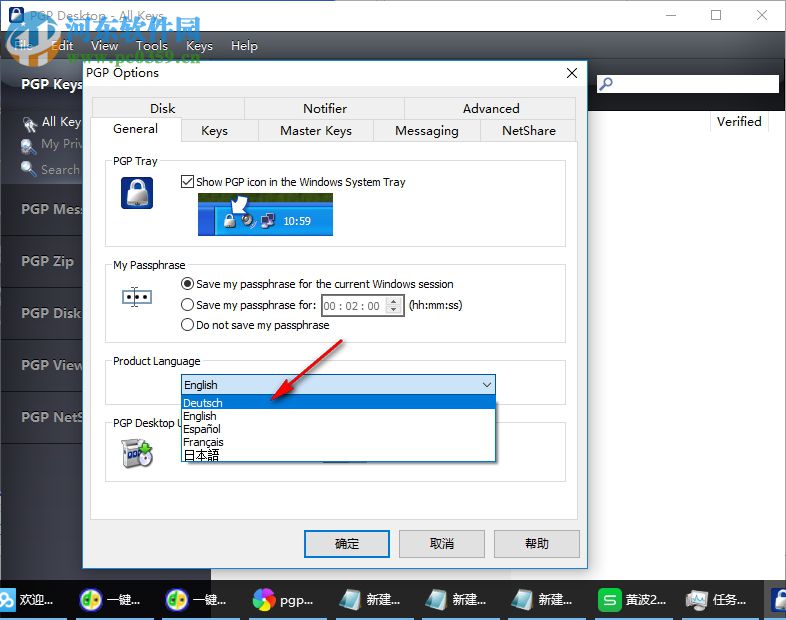 PGP Desktop Pro 32/64位下载(PGP加密软件) 10.0.3 简体中文特别版