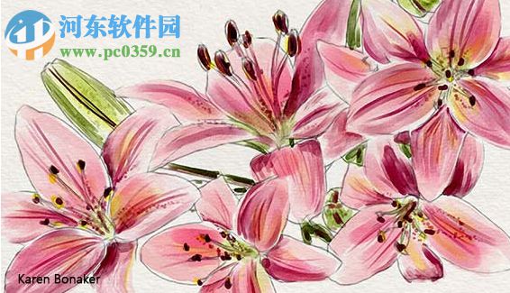 Corel Painter Essentials 6 下载 6.0.0.167 破解版