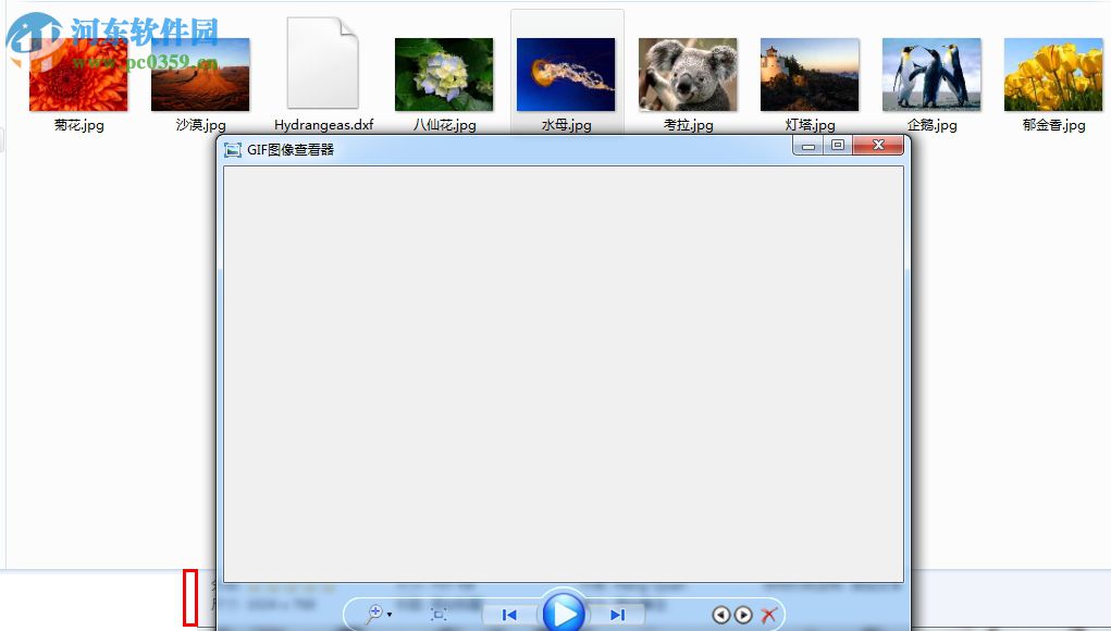 Gif图片查看器 1.0 绿色免费版