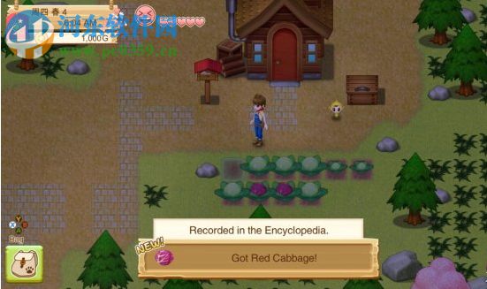 牧场物语：希望之光 免安装绿色版