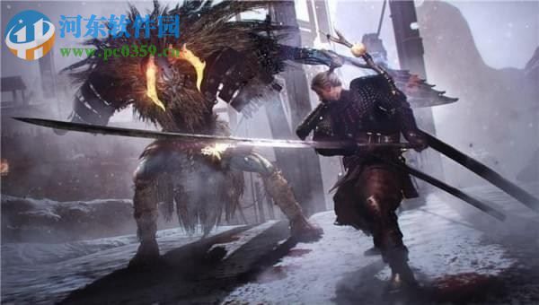 仁王十七项修改器 v1.21