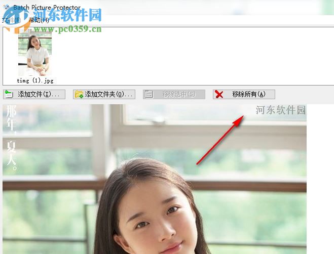 Batch Picture Protector(专业图片加水印工具) 1.4 绿色破解版