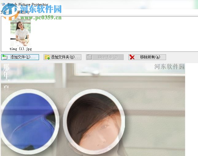 Batch Picture Protector(专业图片加水印工具) 1.4 绿色破解版