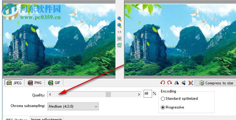 Riot(精准优化图像大小) 0.6.2 免费版
