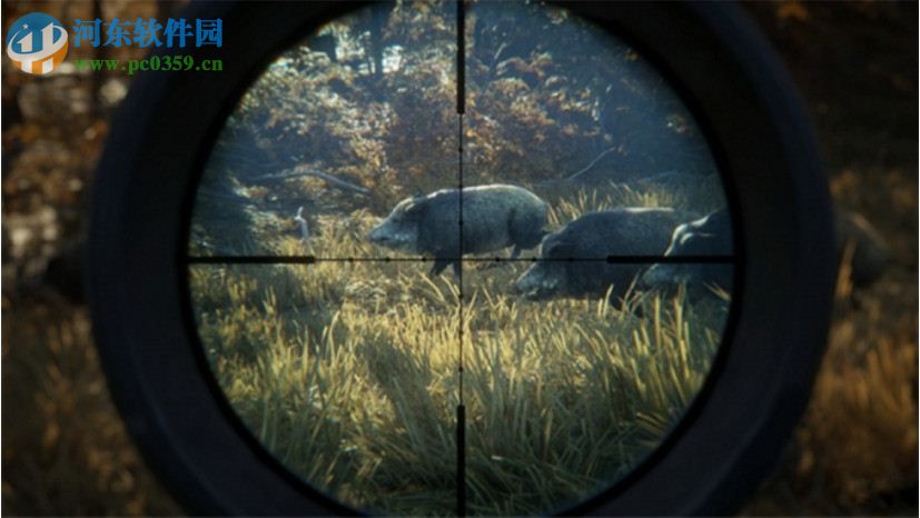 猎人野性的呼唤 中文版