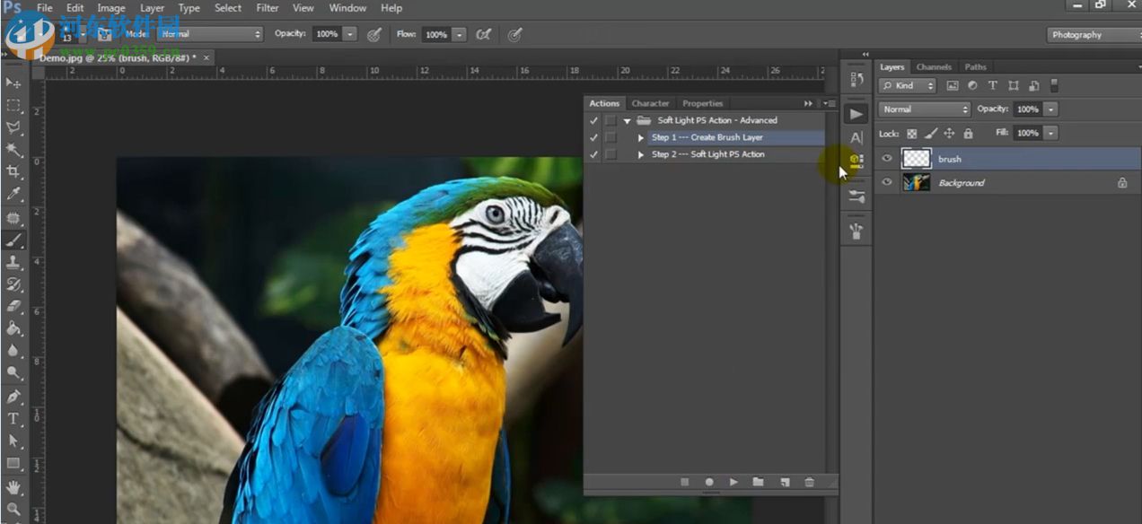 Soft Light(PS柔光散景特效动作) 1.0 免费版
