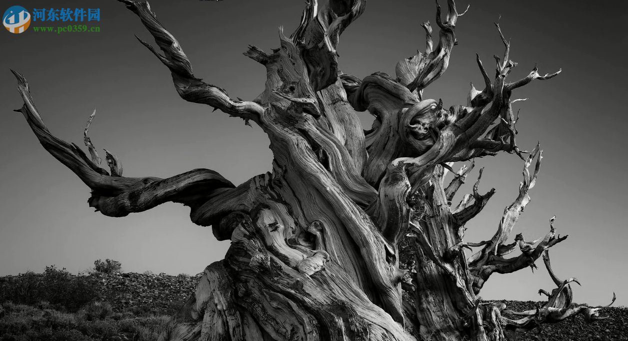 TKActions Basic Panel(新TK基本面板) 2018 免费版