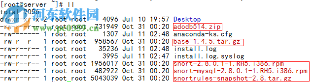 Snort(网络入侵检测/防御系统) 2.9.11.1 官方版