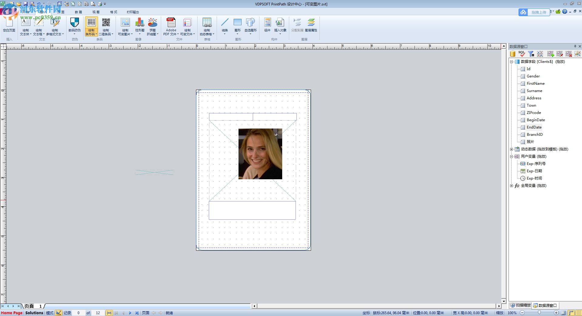 VDPsoft PressPath(可变数据打印工具) 12.6 官方版