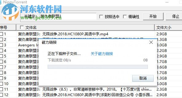 NippyTorrent(视频批量下载工具) 2.18.1.0 绿色版