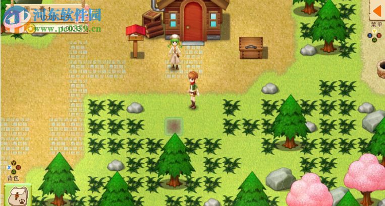 牧场物语：希望之光 英文版