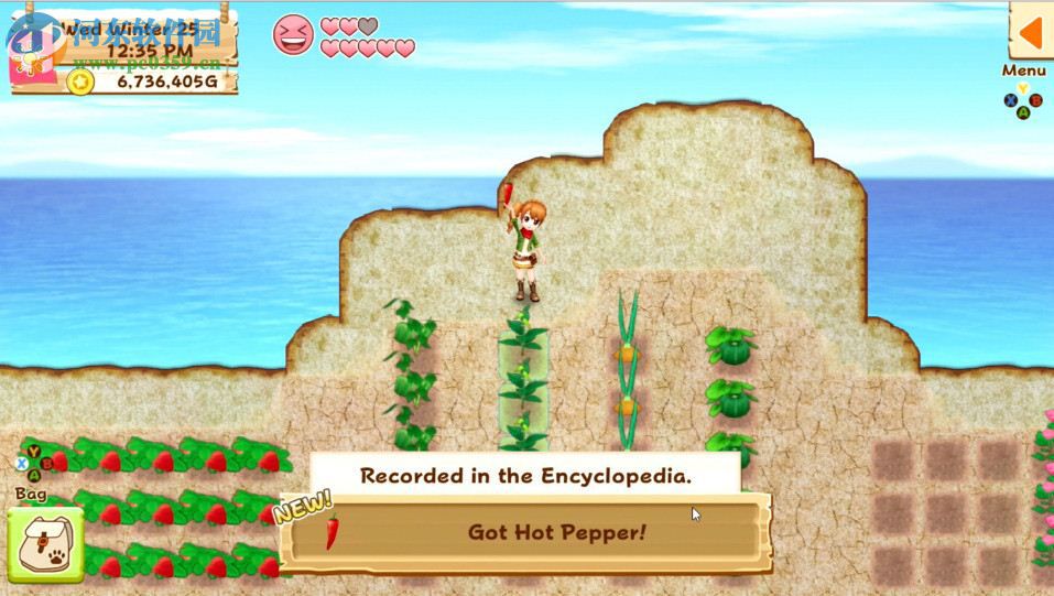 牧场物语：希望之光 英文版