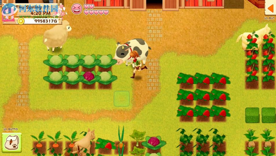 牧场物语：希望之光 英文版