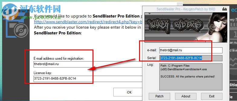 SendBlaster下载(邮件群发工具) 4.1.10 破解版