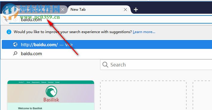 Basilisk浏览器 2018.6.1 官方版