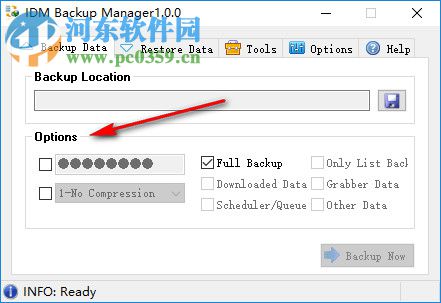 IDM Backup Manager(IDM备份管理软件) 1.0.0 绿色版