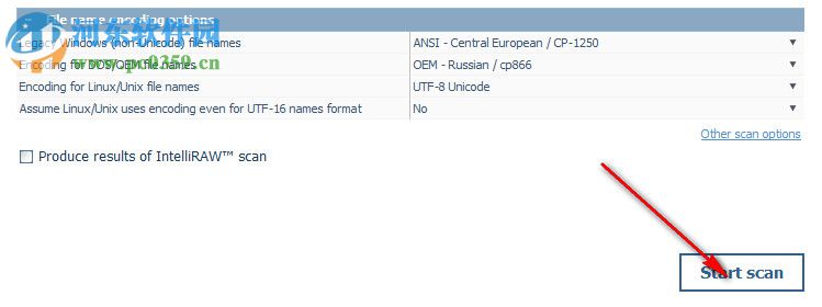 Recovery Explorer(数据恢复工具)