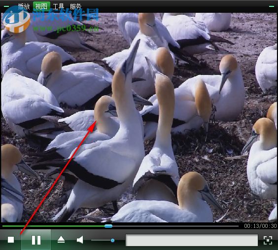 阔豆网络电视下载 1.0 免费版