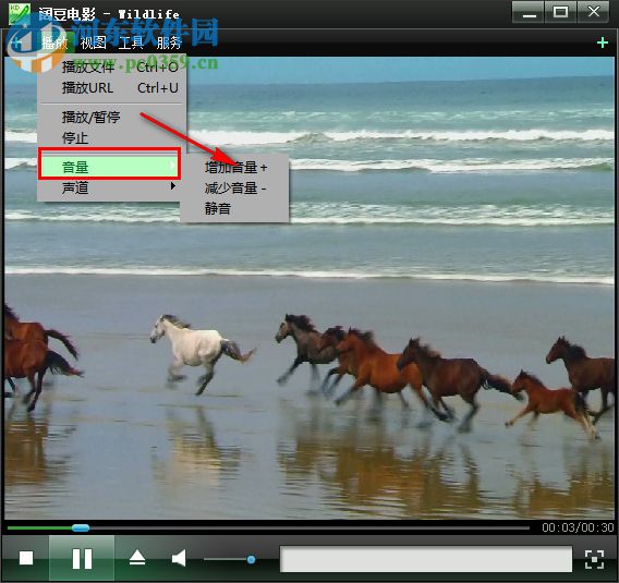 阔豆网络电视下载 1.0 免费版