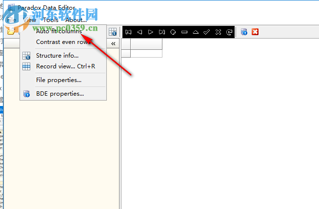 Paradox Data Editor(数据库编辑工具) 3.2.0.0 绿色版