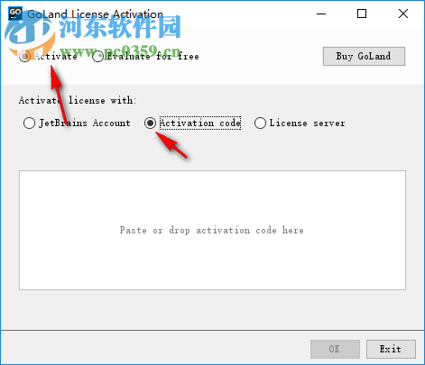 jetbrains goland 2018.2汉化包