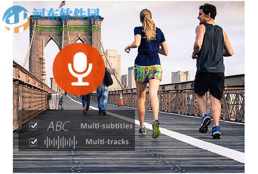 Dimo MXF Converter(MXF格式转换软件)