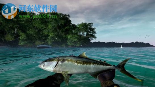 终极钓鱼模拟MrAntiFun修改器