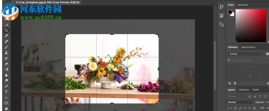 coolorus cc2018(photoshop色环插件) 2.5.9 免费版